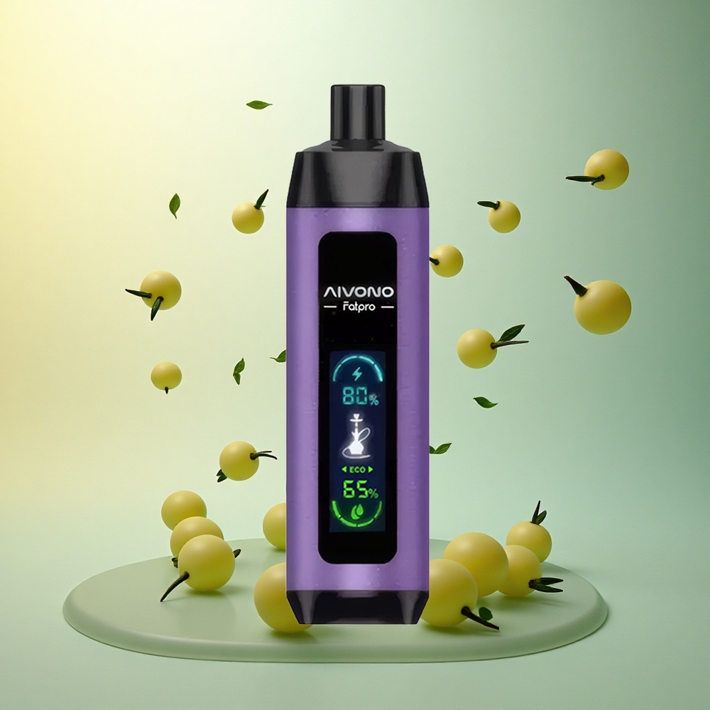 Aivono Aim Fatpro 22000 Grape Mint 5% Nicotine 600mAh Aivono Aim Fatpro 22000 Grape Mint 5% Nicotine 600mAh