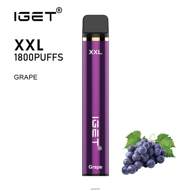 IGET XXL 40Z856 Grape