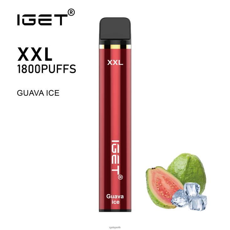 IGET XXL 40Z858 Guava Ice
