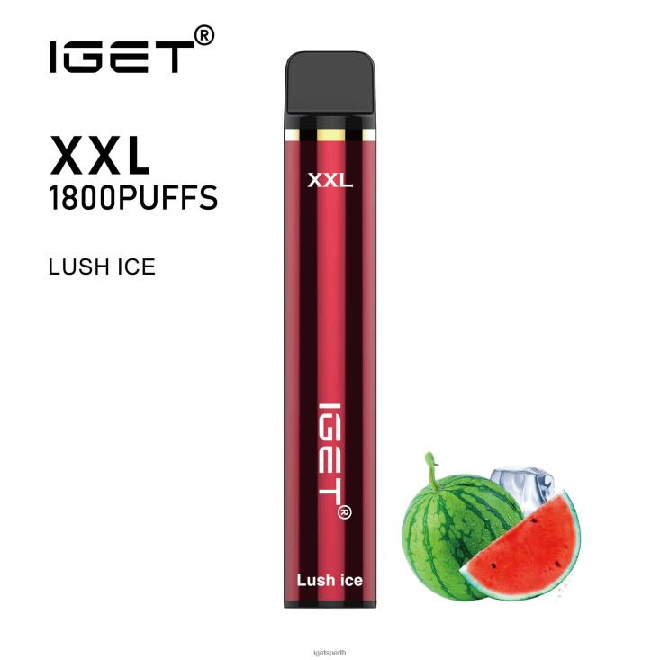 IGET XXL 40Z860 Lush Ice