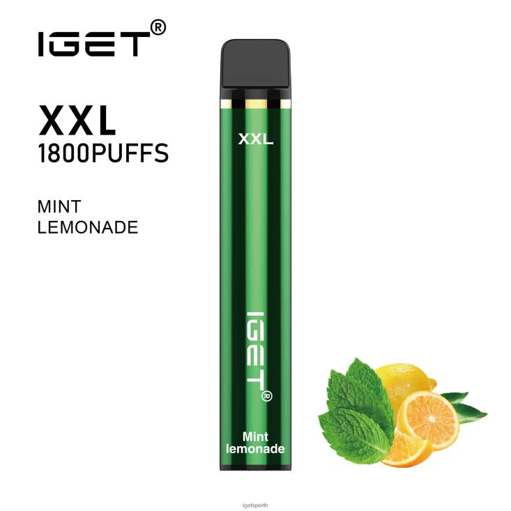 IGET XXL 40Z864 Mint Lemonade