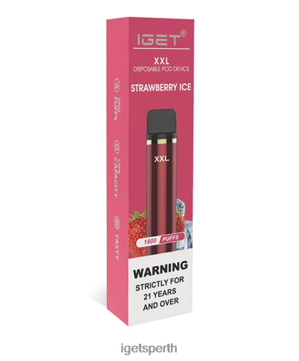 IGET XXL 40Z875 Strawberry Ice