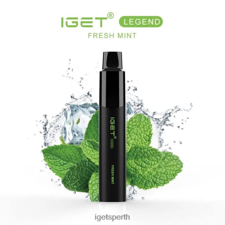 IGET LEGEND - 4000 PUFFS 40Z8565 Fresh Mint Ice