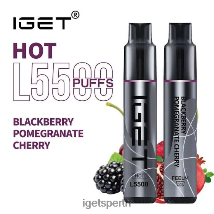 IGET HOT - 5500 PUFFS 40Z8466 Blackberry