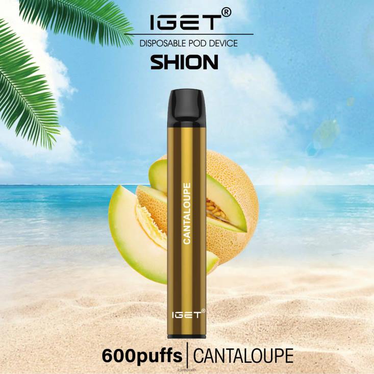 3 x IGET Shion 40Z87 Cantaloupe